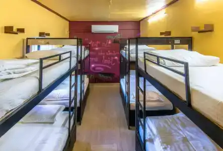 Backpackers - 1