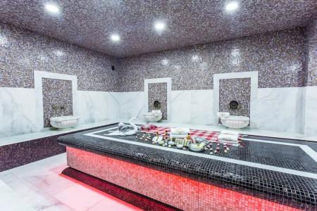 Golden Mir & SPA - 11