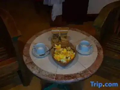 Alam Puri Art Museum Resort & Spa - 132
