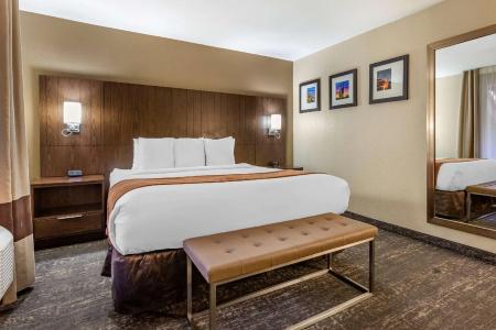 Comfort Suites At Sabino Canyon - 54