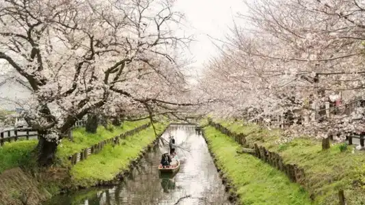 Kawagoe Prince - 46