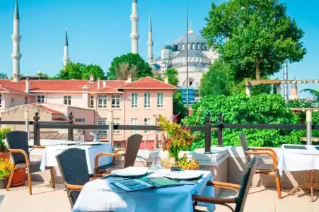 Sarnic & Sarnic Premier(Ottoman Mansion) - 82