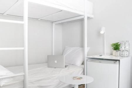 Chocolate box mint - 15