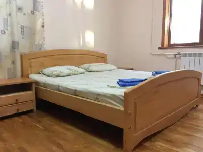 Дионис - 6