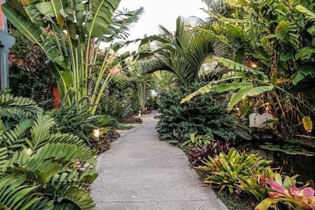 Hacienda de Abajo-Adults Only - 79