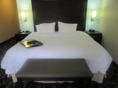 Hampton Inn & Suites Nashville at Opryland - 58