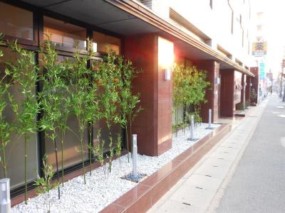 Saga Grace - 7