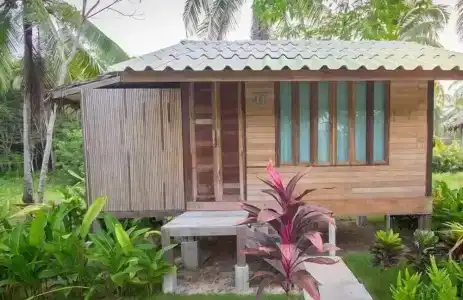 Jungle Koh - 62