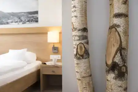 Best Western Plus Willingen - 3
