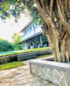 Saman Resort Yala - 41