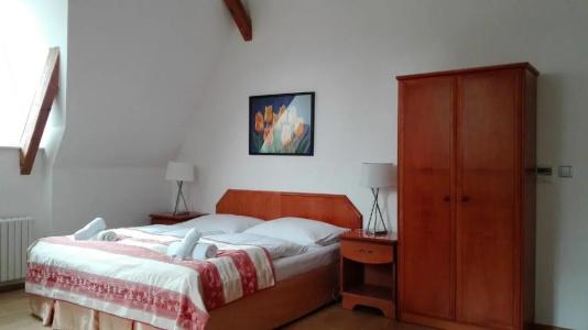 Jana / Pension Domov Mládeže - 50