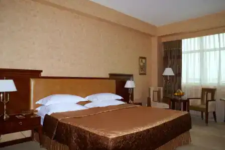Ramada Plaza by Wyndham Gence - 4