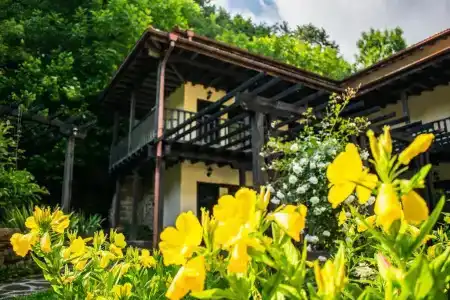 Villa Verbena - 10