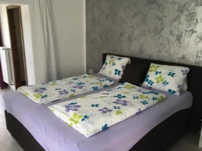 Pension Waldesruh - 38