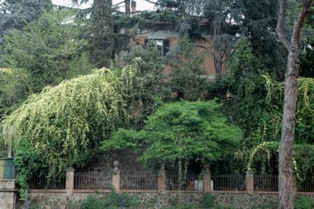 Villino Corbelli b&b - 12