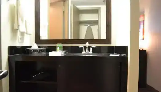 Holiday Inn Houston s - Nrg Area - Med Ctr, An Ihg - 50