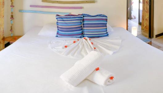 Villas des Alizes beachfront suites and garden villas - 5