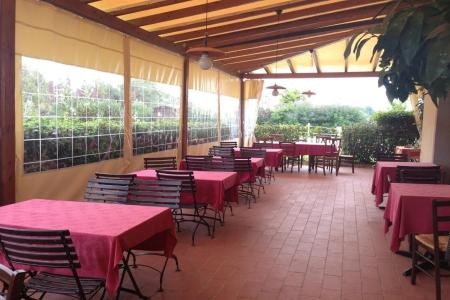 Airone Pisa Park - 17