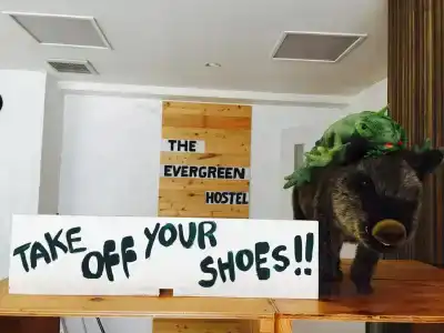 The Evergreen Hostel 長期ステイ歓迎 エバーグリーンホステル - 32