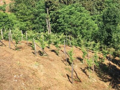 Иберия 2019 - 6