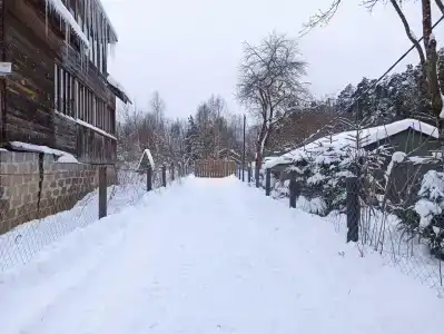 Семейное гнездо - 16