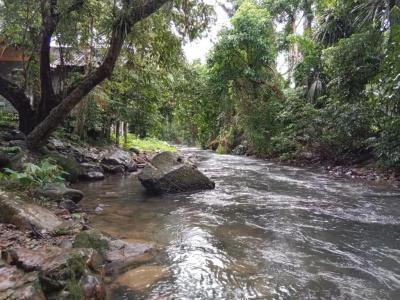 Tree Tops River Huts - 58