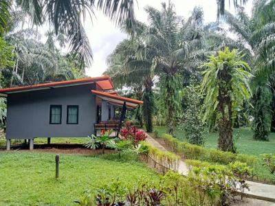 Khao Sok Palm Garden Resort - 33
