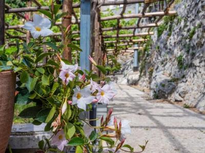 Albergo Diffuso Bacco Furore - 73