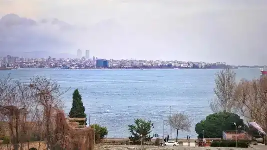 Cape Palace - 58