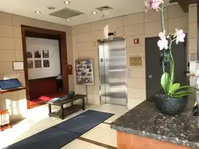 Mimosa - 1