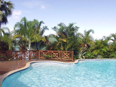 Le Jardin Des Palmes - 4