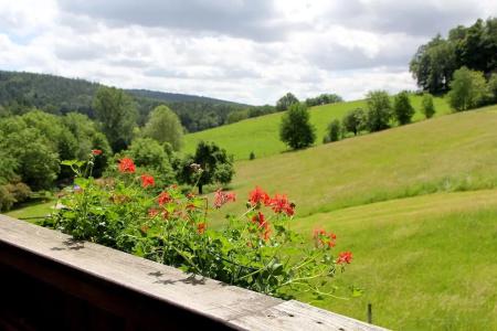 Gassbachtal - 13