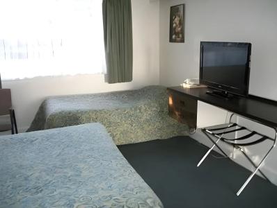 Braemar Motor Inn - 11