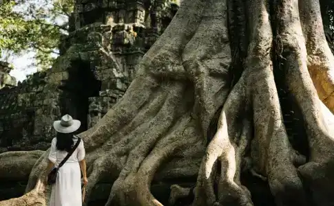 Raffles Grand d'Angkor - 25