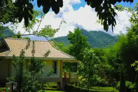 Pai Iyara - 43