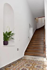 Douskos Guesthouse - 14
