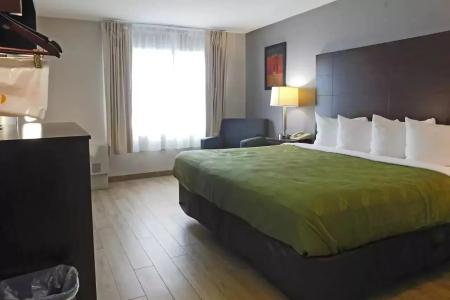 Quality Inn Colchester - 5