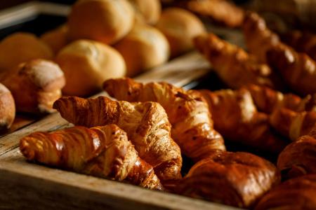 Alpha-Palmiers by Fassbind - 11
