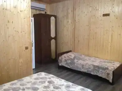 Георгина - 8