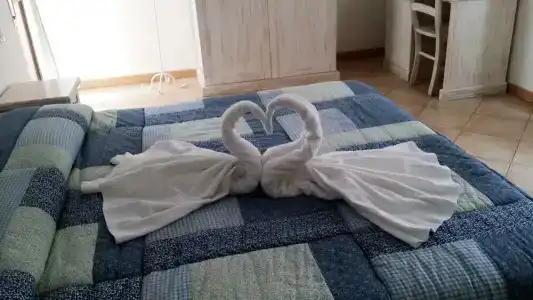 Tabby - 68