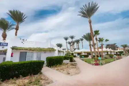 Shams Safaga Resort - 43