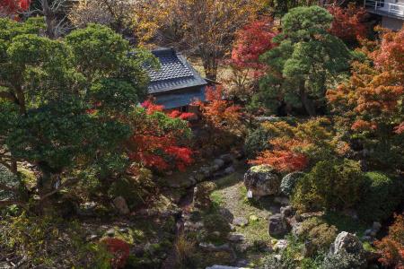 Fujiya - 21