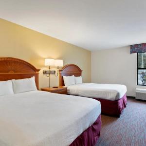 Orlando Palms - 29
