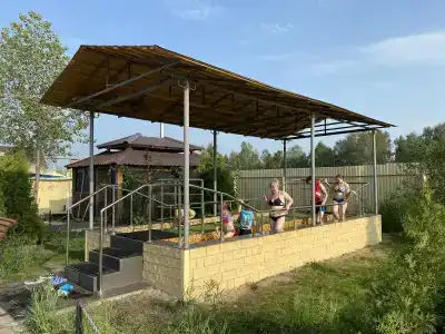 Сосновый бор - 19