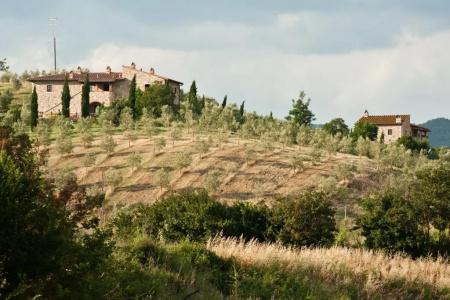 Agriturismo Podere Campaini - 27