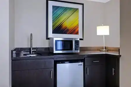 Holiday Inn Houston Downtown, An Ihg - 110