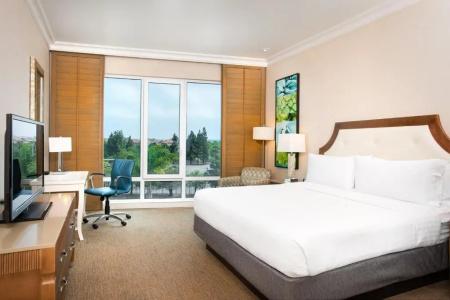 Holiday Inn San Diego Bayside, An Ihg - 92