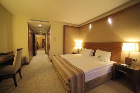 Dedeman Konya Convention Center - 30