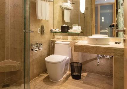 Holiday Inn Bangkok, An Ihg - 45