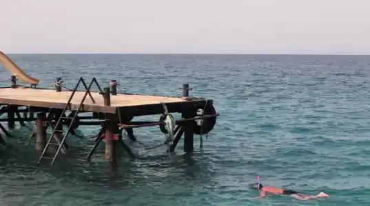 Sphinx Aqua Park Beach Resort - 22